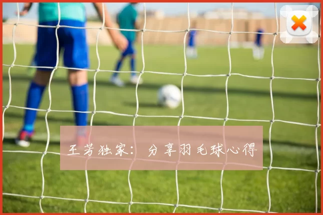 王芳独家：分享羽毛球心得