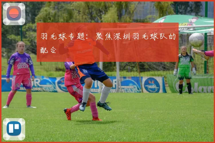 羽毛球专题：聚焦深圳羽毛球队的配合